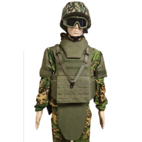 Жилет защитный Витязь ПРО