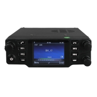 Racio R3000 UHF