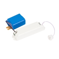 Купить БЛОК АВАРИЙНОГО ПИТАНИЯ УНИВЕРСАЛЬНЫЙ RAPAN PL-40W1H в Москве с доставкой по всей России