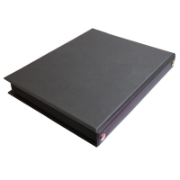 Купить Подавитель диктофонов ТАЙФУН-5Б в Москве с доставкой по всей России