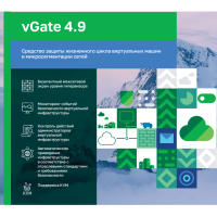 Купить vGATE R2 в 