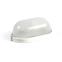 Купить СВЕТИЛЬНИК SKAT LED-220 E27 IP54 в 