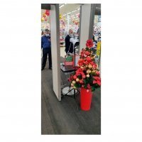 Тепловизионная IP камера TermoVision T103