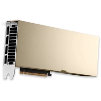 NVIDIA Tesla L20 48GB 900-2G133-00A0-000 Видеокарта