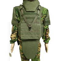 Жилет защитный Витязь ПРО