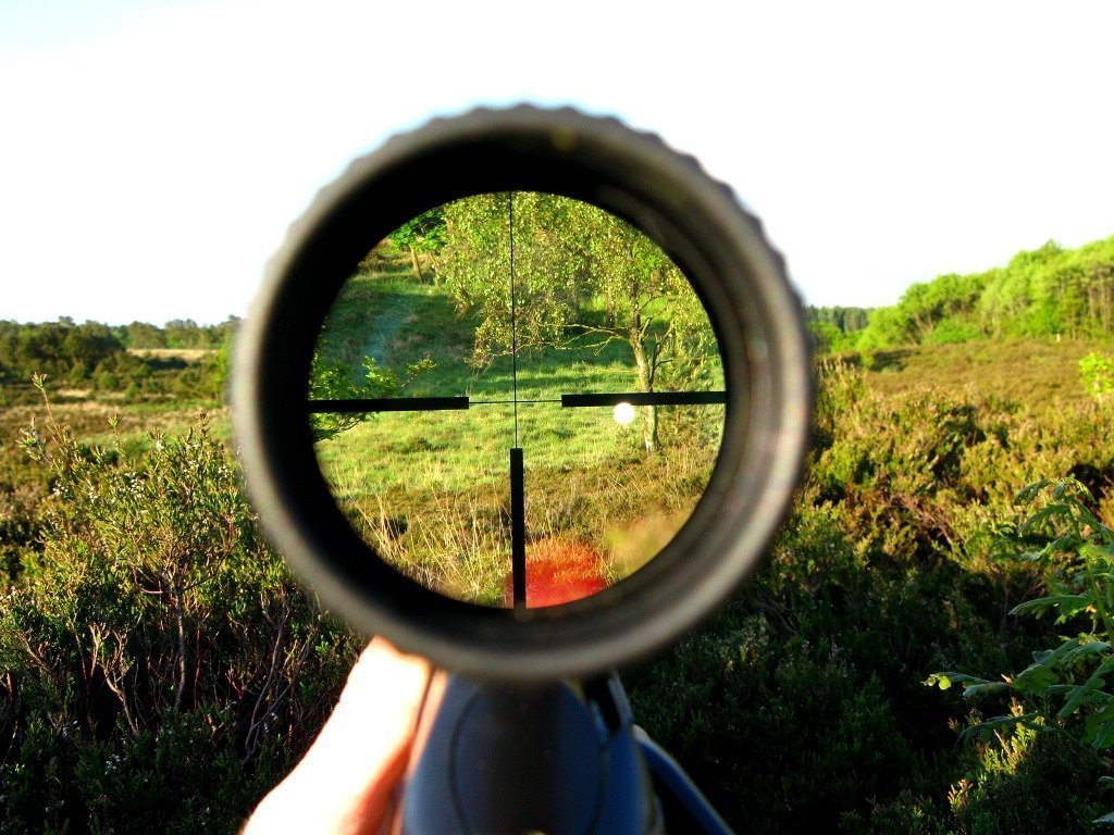 виды прицелов: оптические прицелы