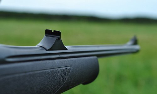 виды прицелов: открытые прицелы